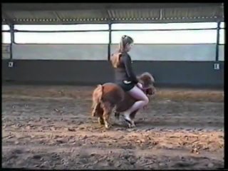 big girl on small pony