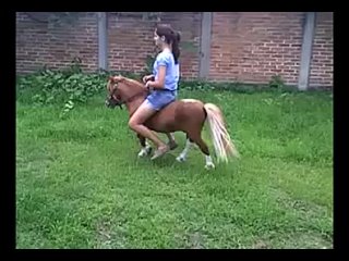 ponyprecioso(caballo99 1512228015502 1 mp4