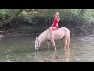 bathing a horse