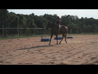 girl riding horse in shorts mp4