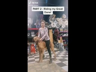 great dane ride