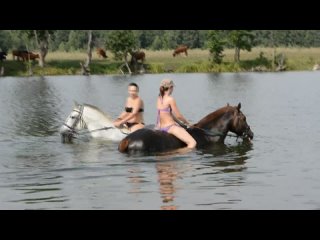 my enchanting horse bathing)