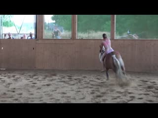 freestyle reining