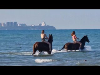 anapa - even horses bath in the sea mozhepsin beach